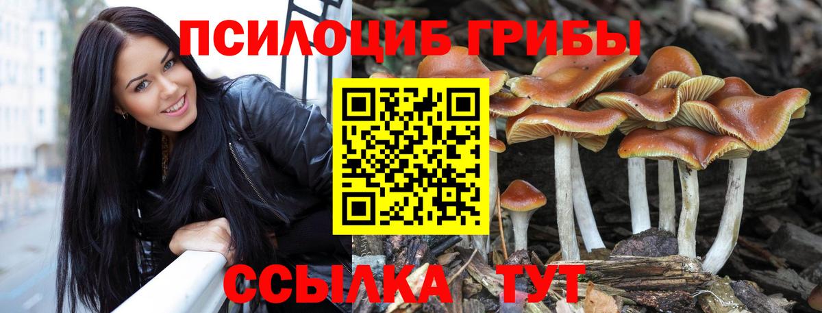 Псилоцибиновые грибы Magic Shrooms Лянтор